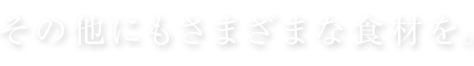 その他にもさまざまな食材を